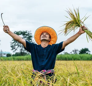 米乐1专注高效可靠的能源供应网络，为用户提供专业可靠的体验。 Updates - 米乐1